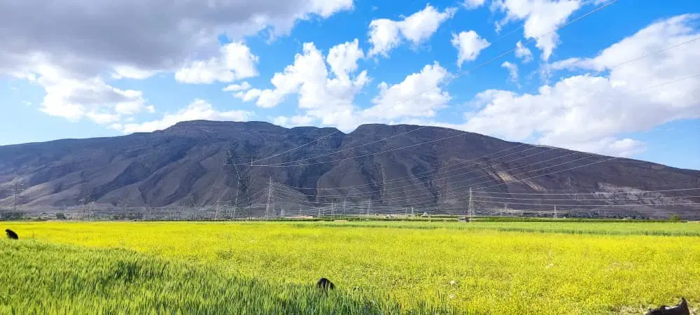 فروش یک قطعه زمین 1000 متری فرهنگ شهر جبل دراک