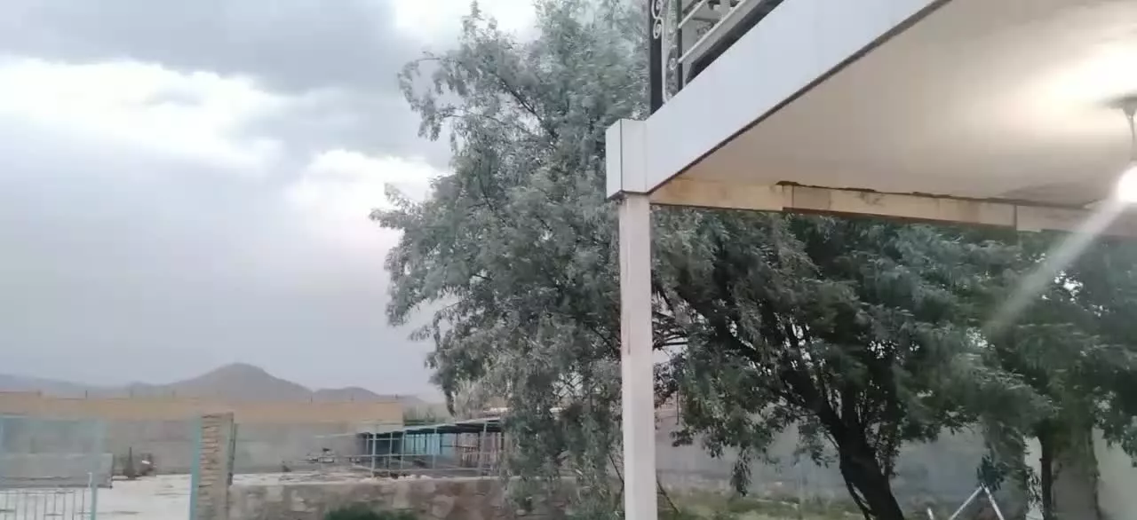 دامداری ۵۰۰راسی صنعتی