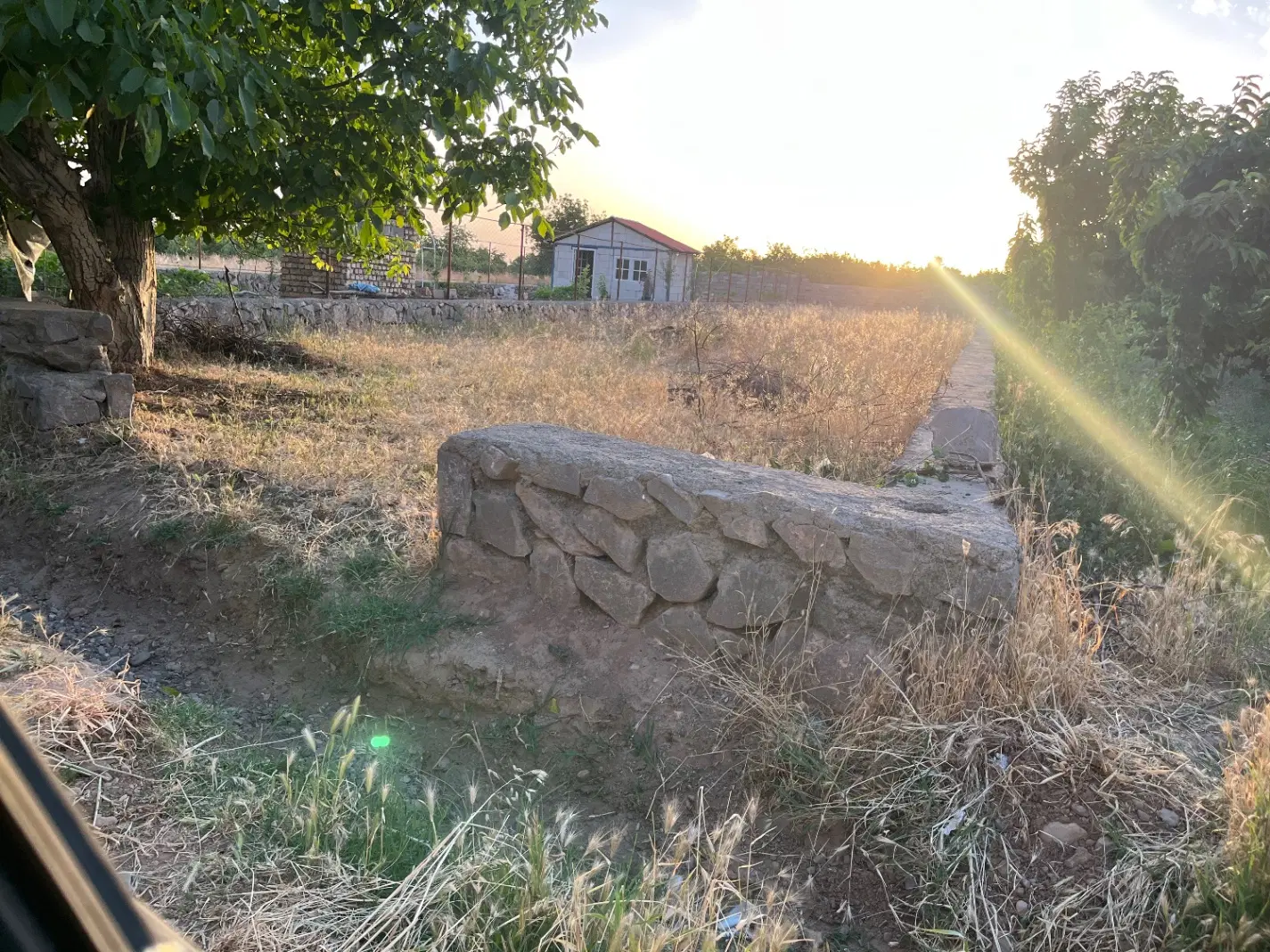 زمین