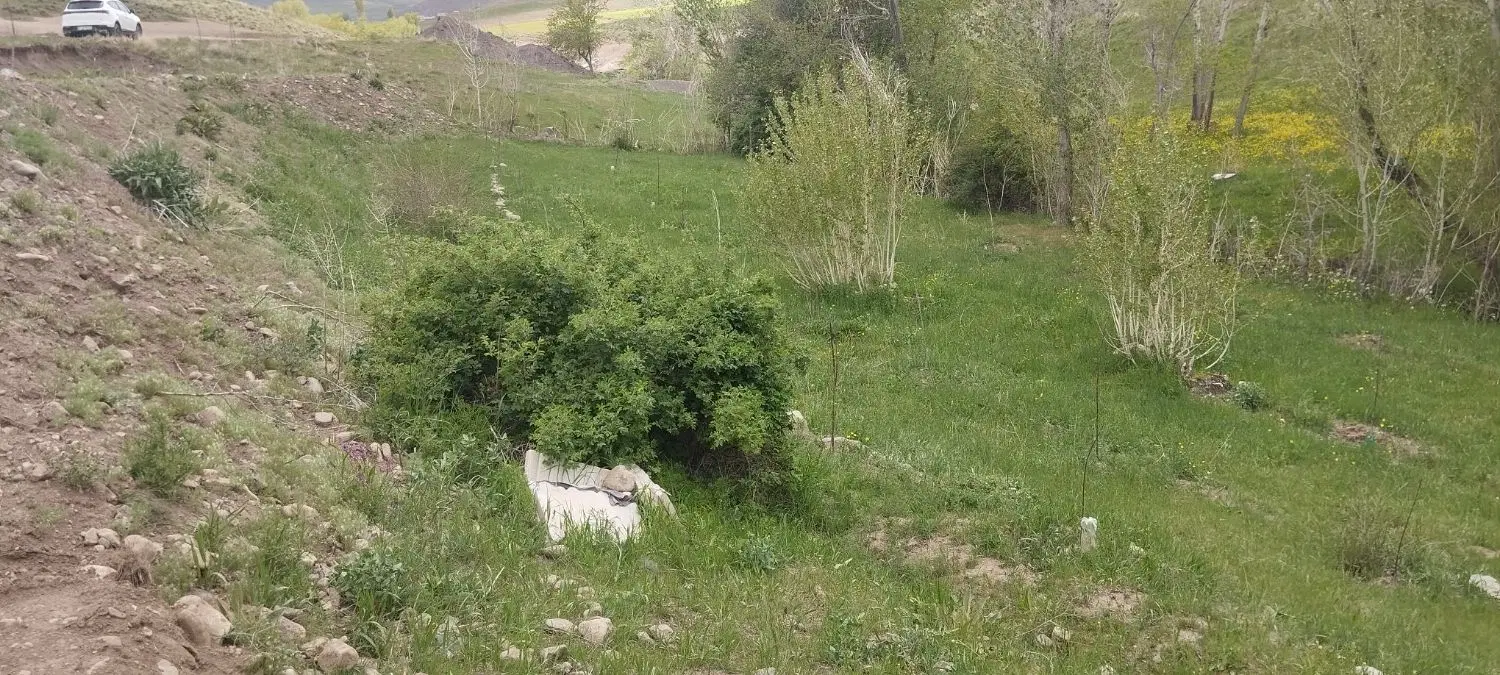باغ ۲۰۰۰متر ۹۵۰میلیون ،معاوضه با خودرو
