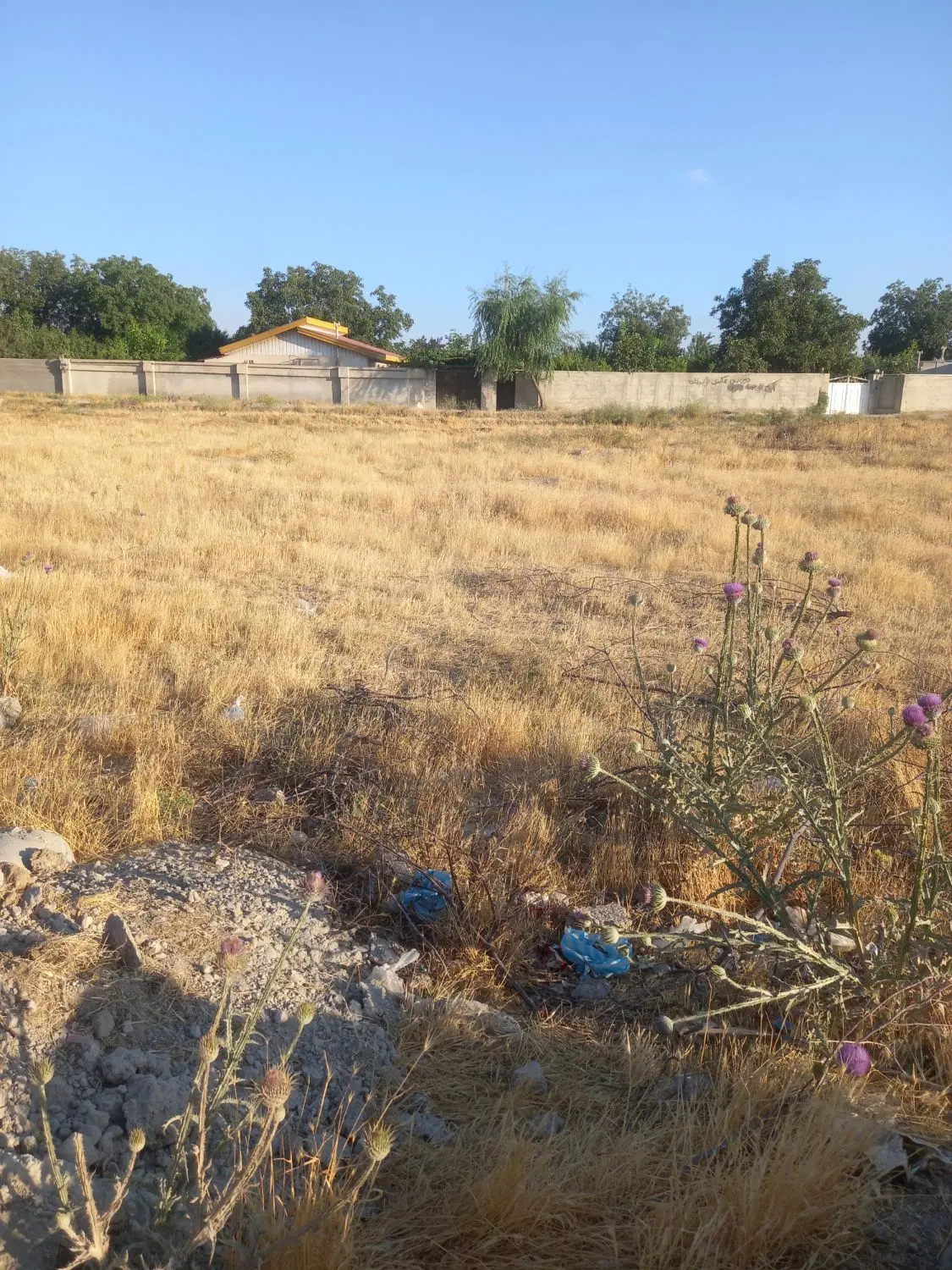 زمین مسکونی برخیابان اصلی خیابان کشاورز