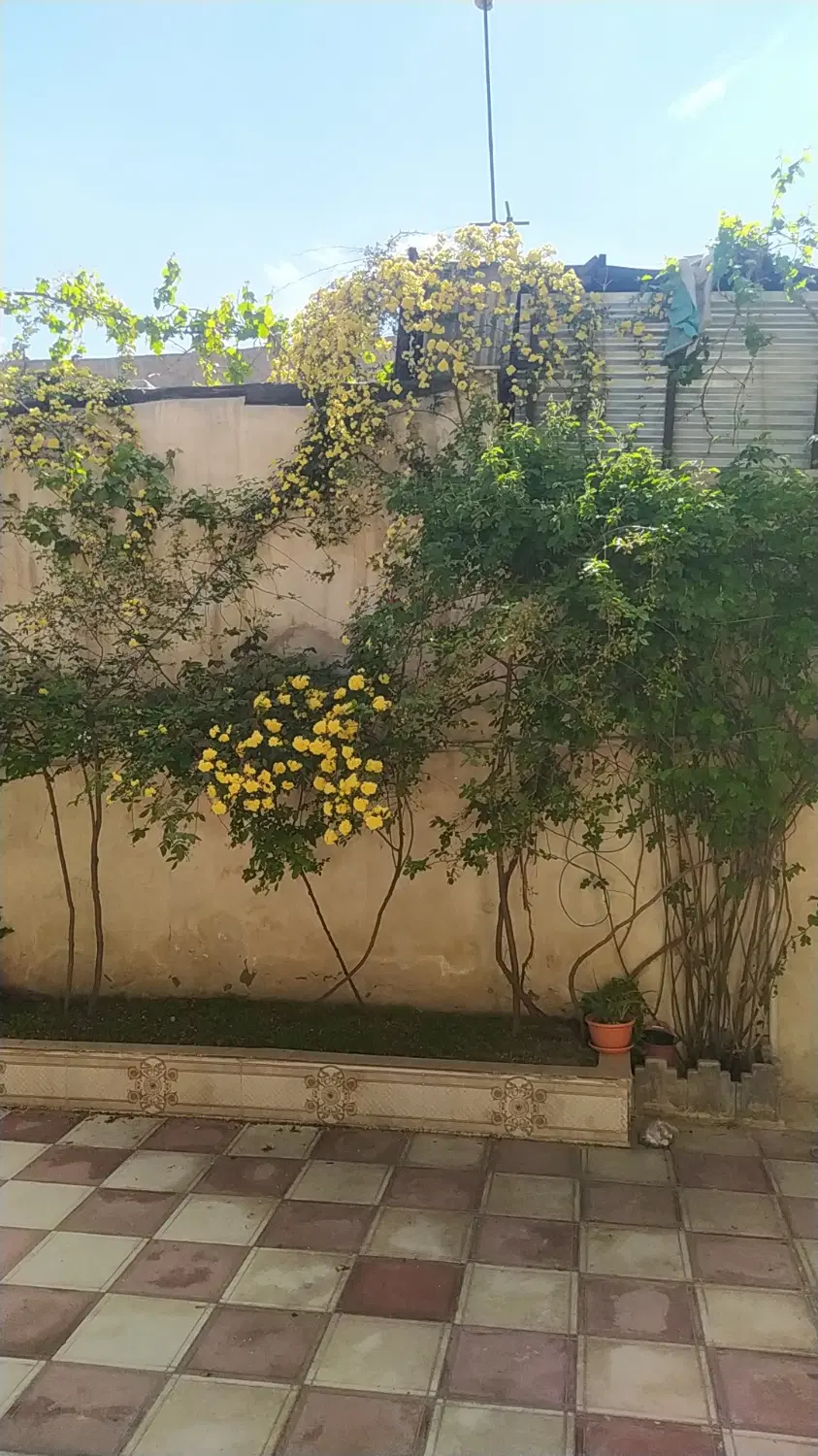 اجاره ویلایی دربست ۲ خواب نزدیک عبادی