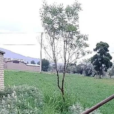 فروش زمین کشاورزی
