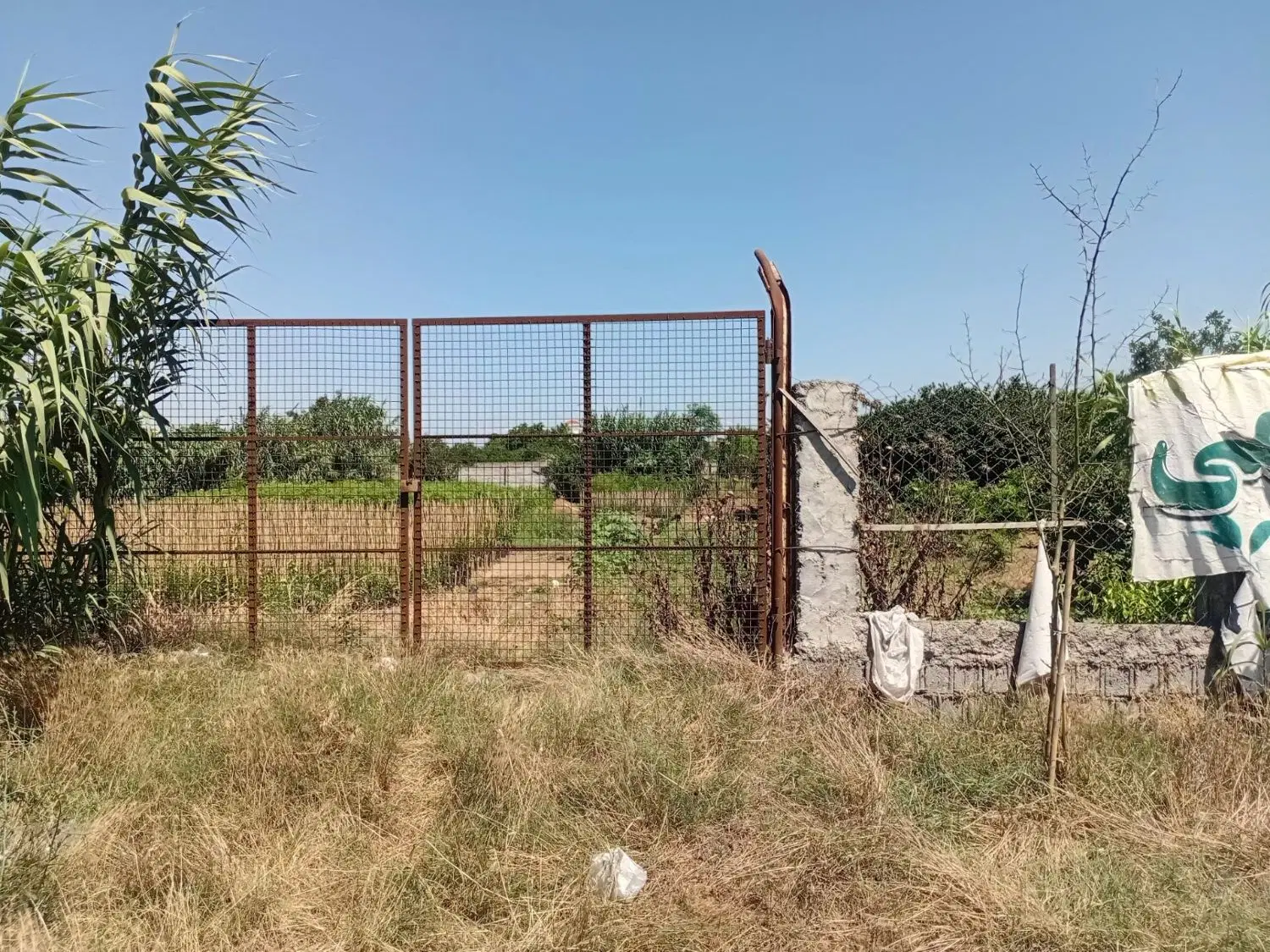 1600متر زمین تجاری مسکونی