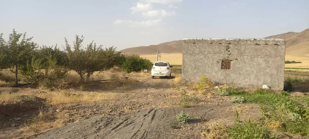 باغ و زمین کشاورزی زعفران