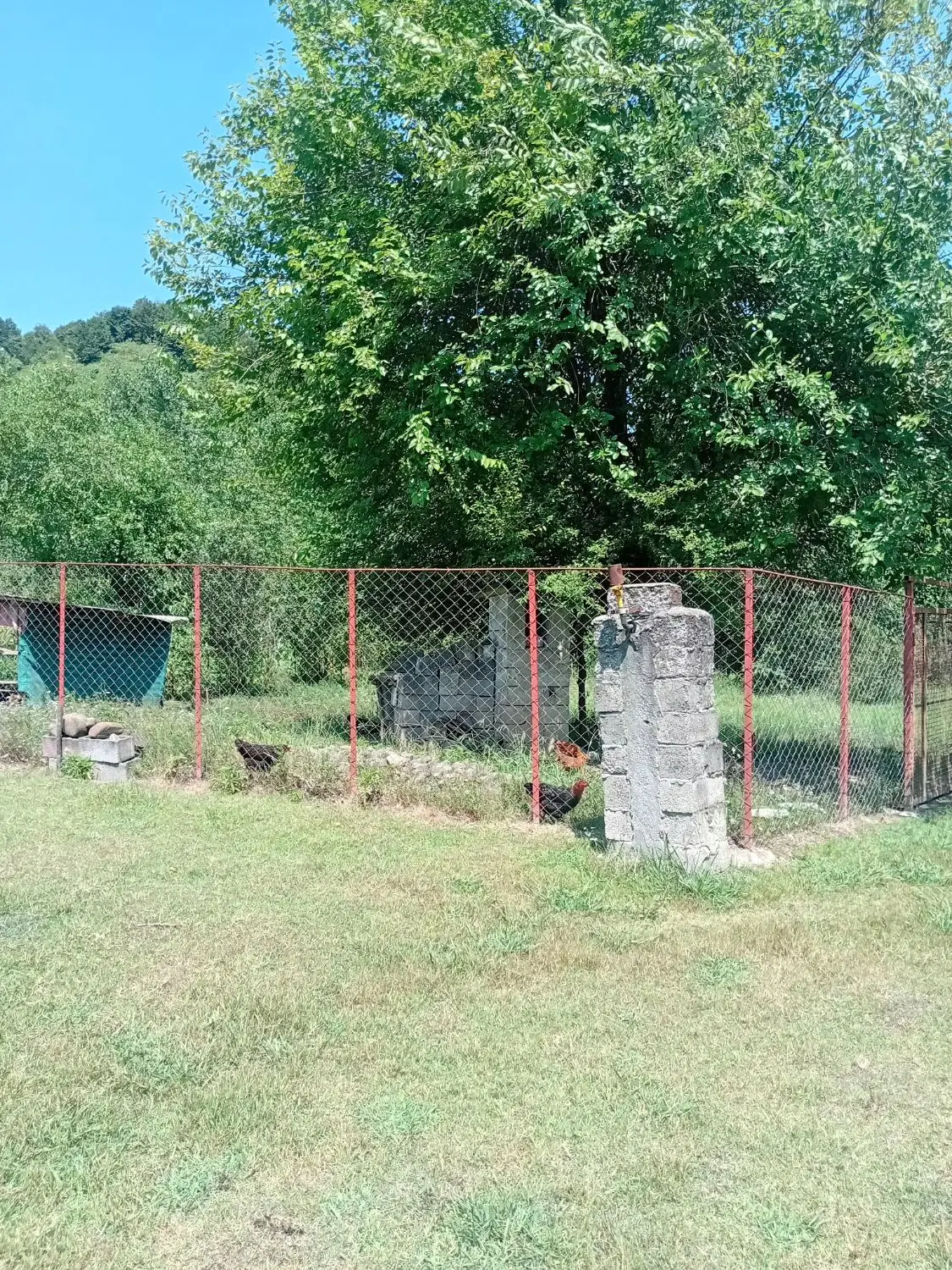 زمین ویلایی با کاربری مسکونی