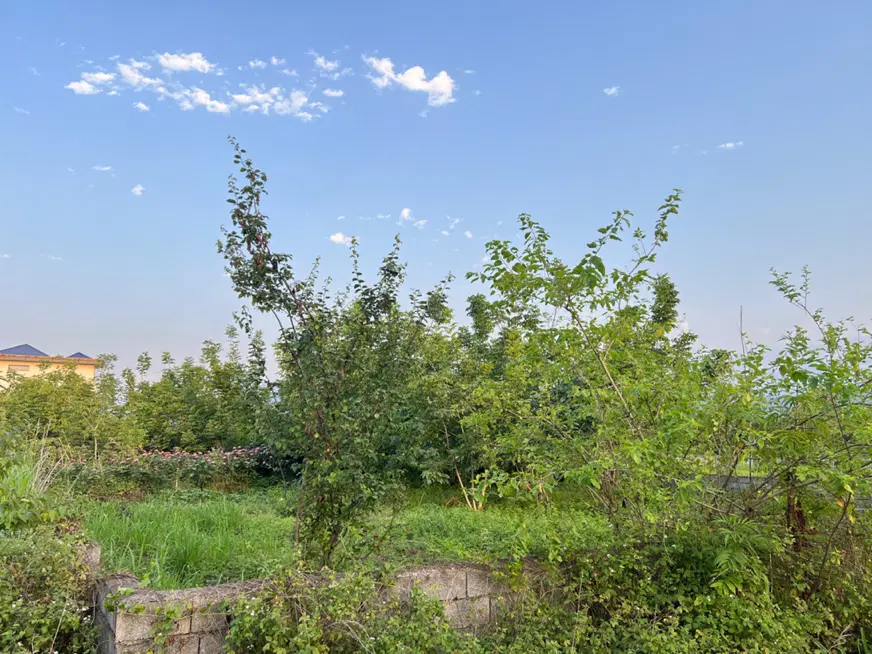زمین 850 متری