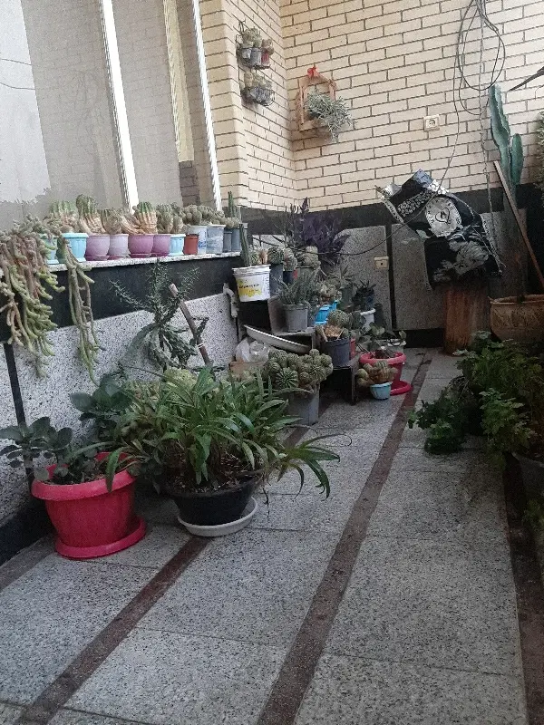 به یه هم خونه با نظم تمیز بدونه دود دم نیازمندم