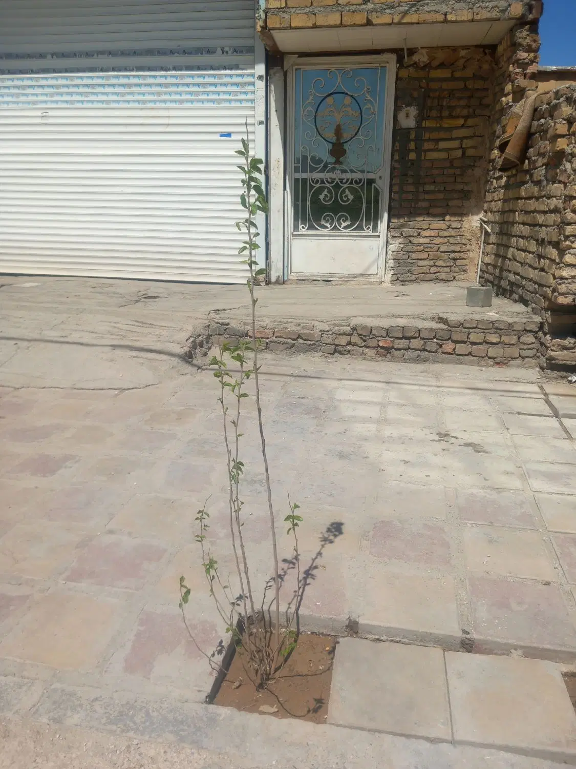 اجاره منزل طبقه دوم