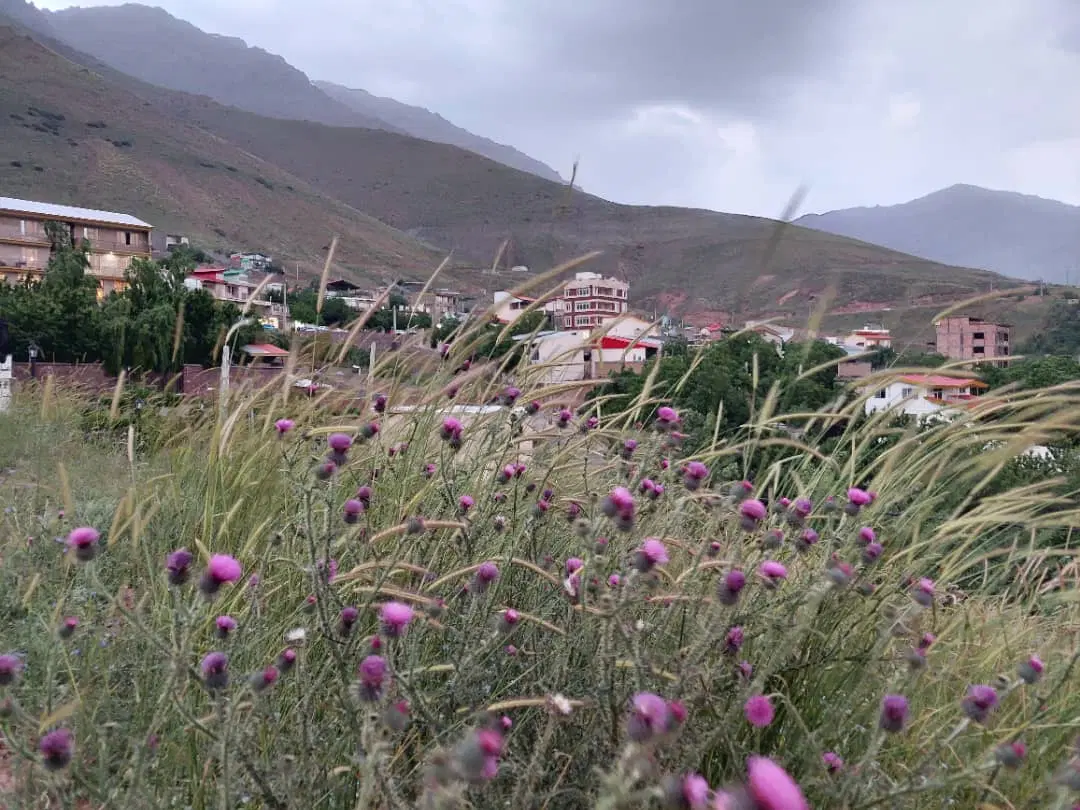 ۲۴۰ متر باغچه، راحت اباد لواسان