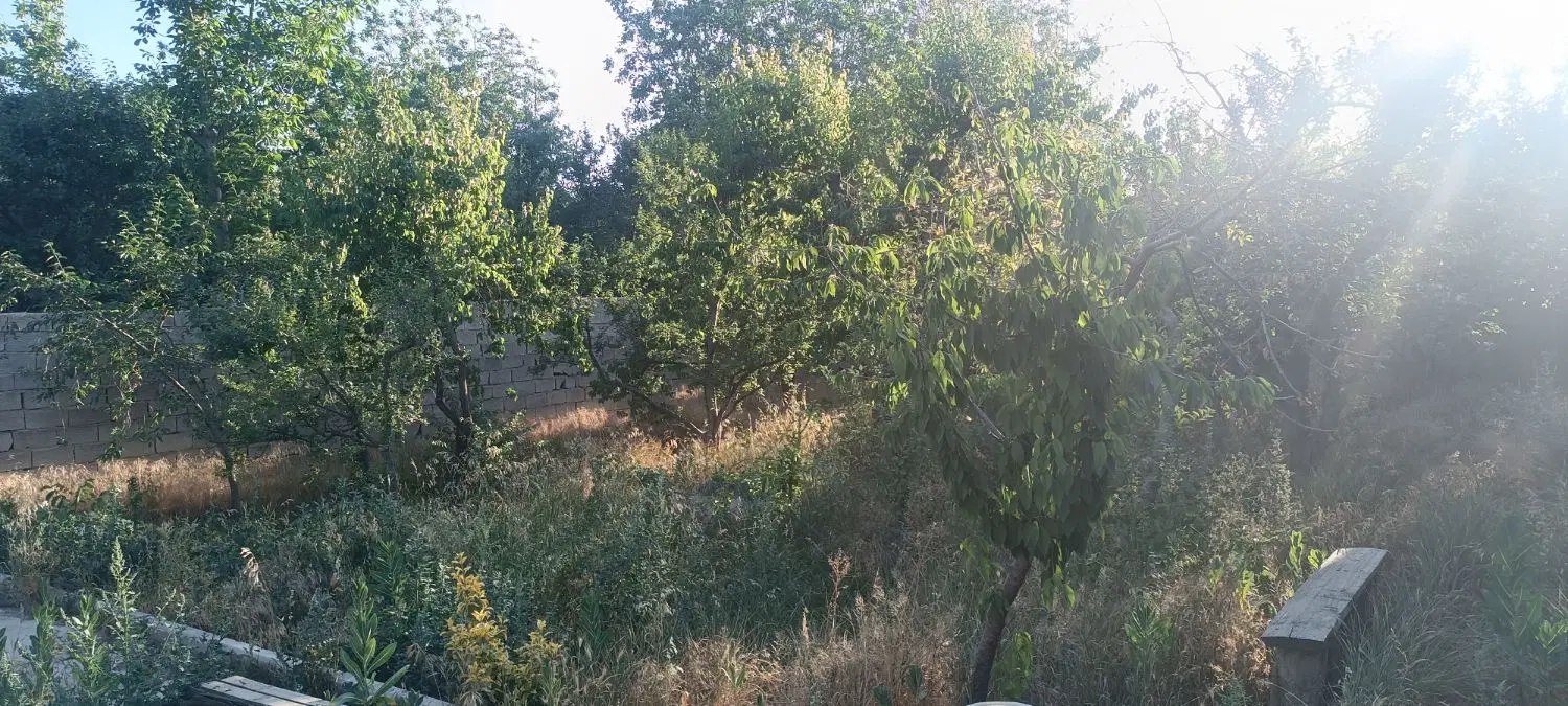 باغچه چهاردیواری - کاسبی