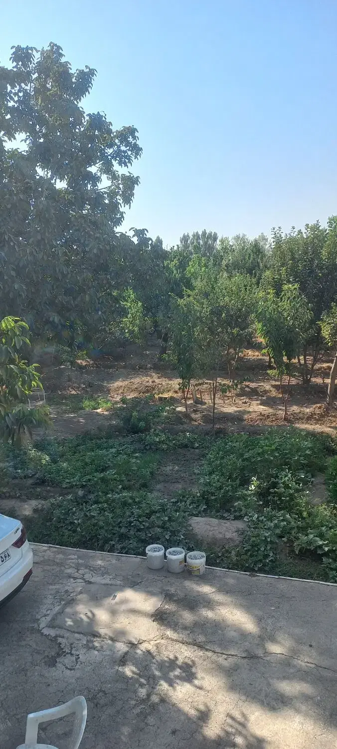 ۳۸۰۰مترباغچه چهاردیواری(سنددار)۳بردرهشتگردایقربلاغ