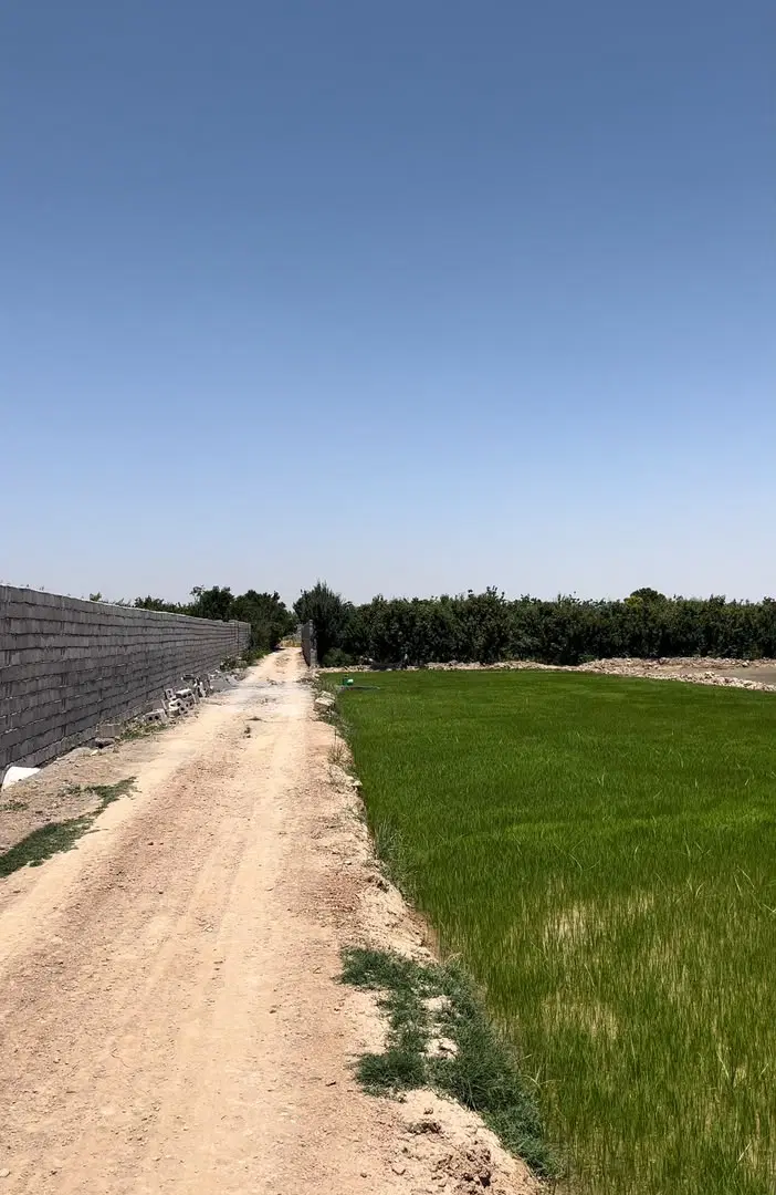 فروش زمین کشاورزی
