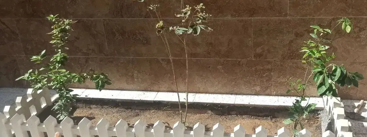 رهن منزل مسکونی آزادگان