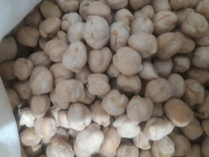 طالب اجاره زمین کشاورزی شراکتی هستم