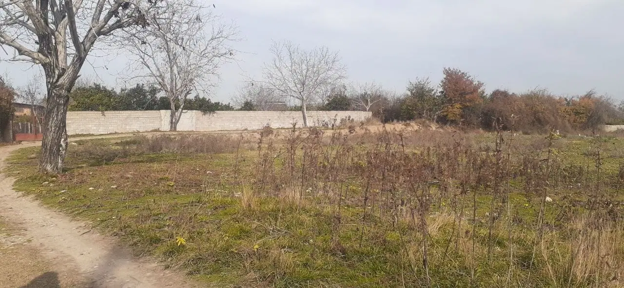 زمین کشاورزی
