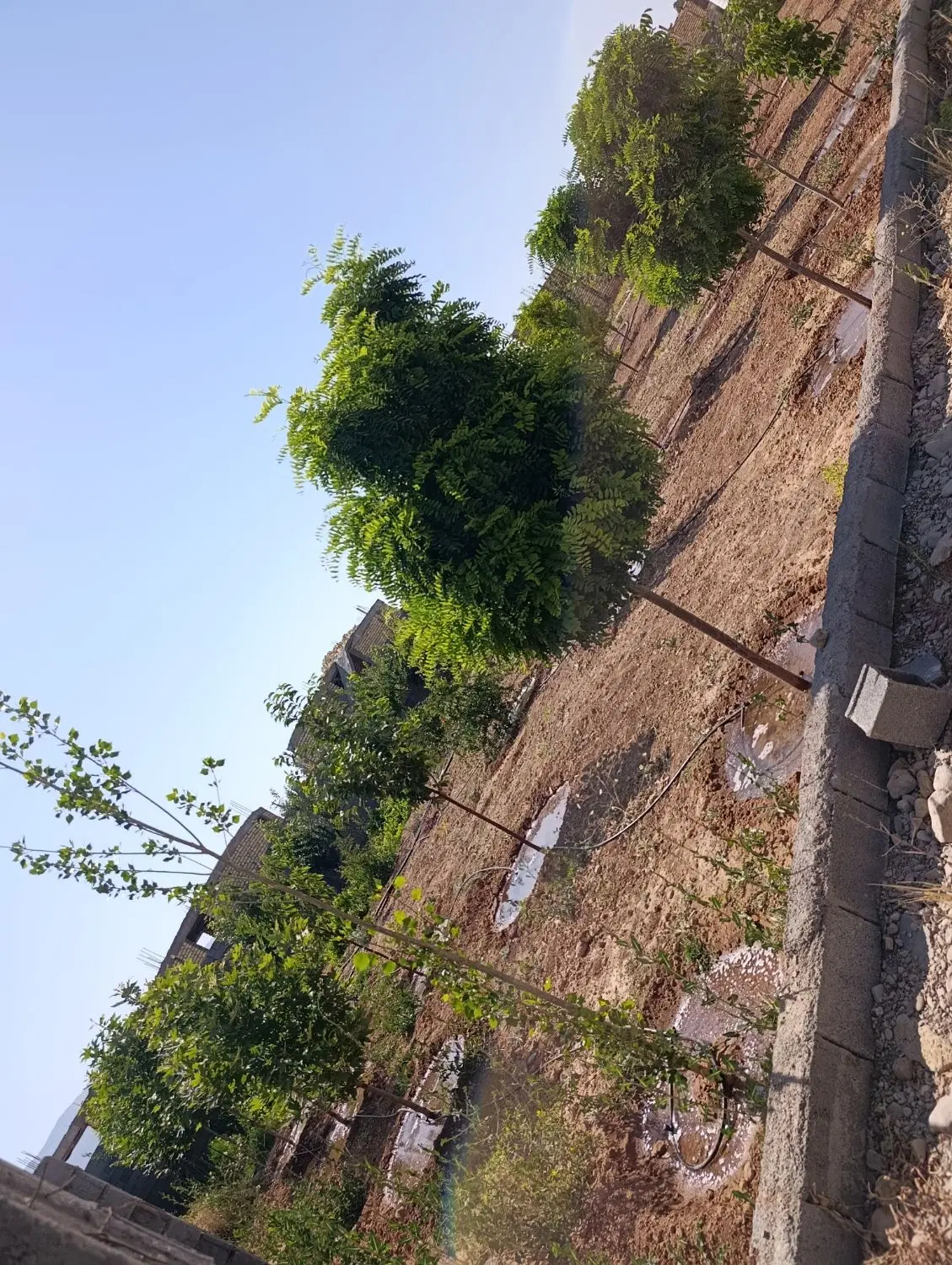 باغ شهری خانه زنیان
