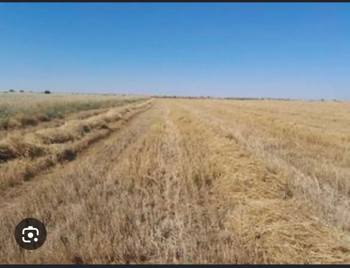 فروش  زمین کشاورزی در روستای اران