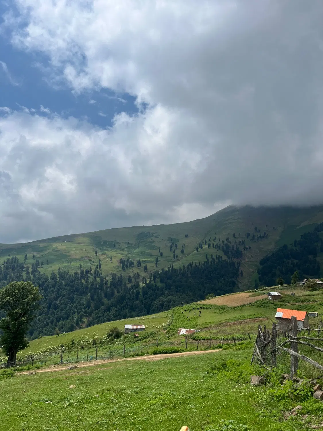زمین ییلاقی