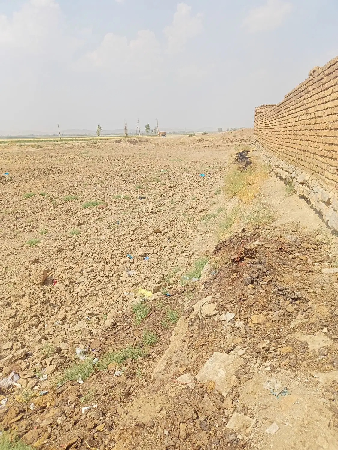 زمین کشاورزی دیم