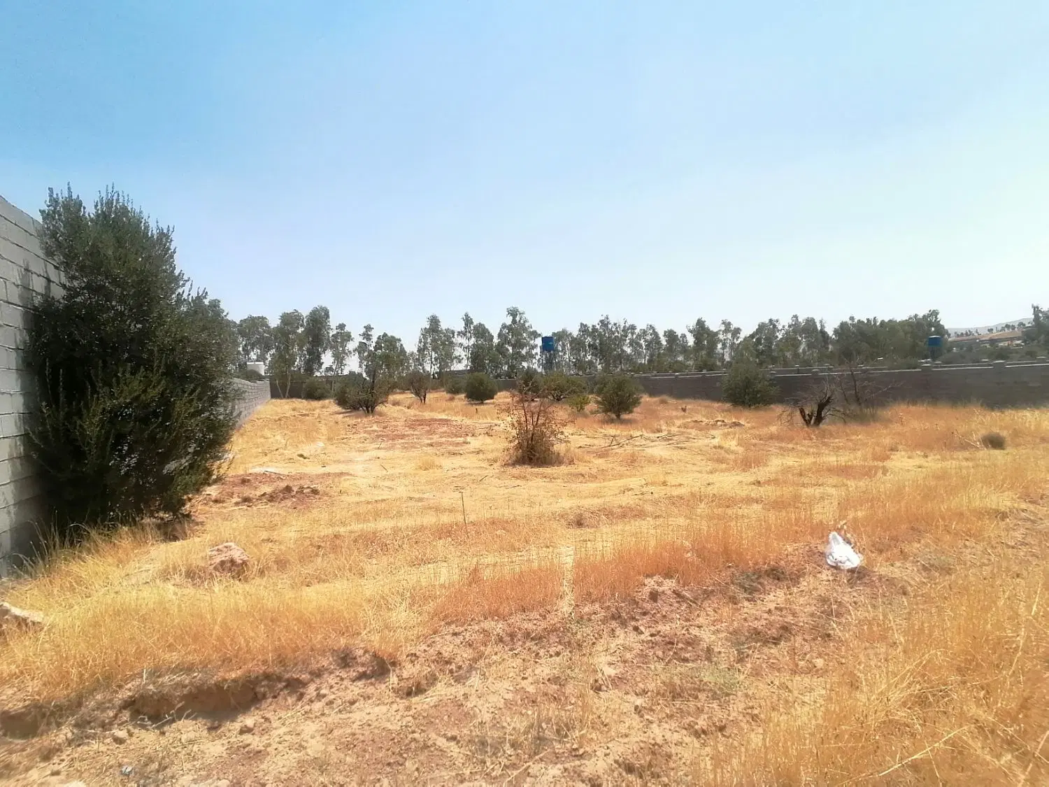 باغ شهری فدک الزهرا