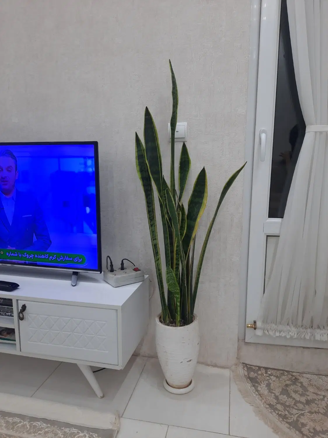 منزل ویلایی دربست