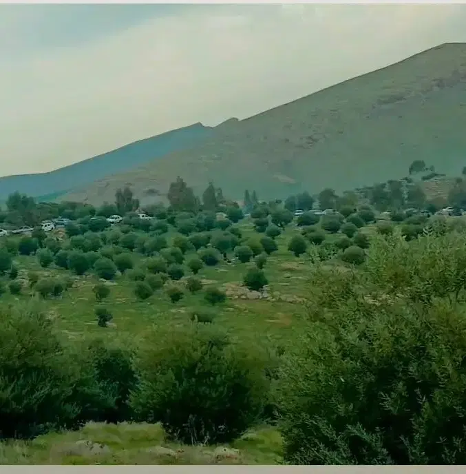 زمین مسکونی هخامنش ده به فروش می رسد
