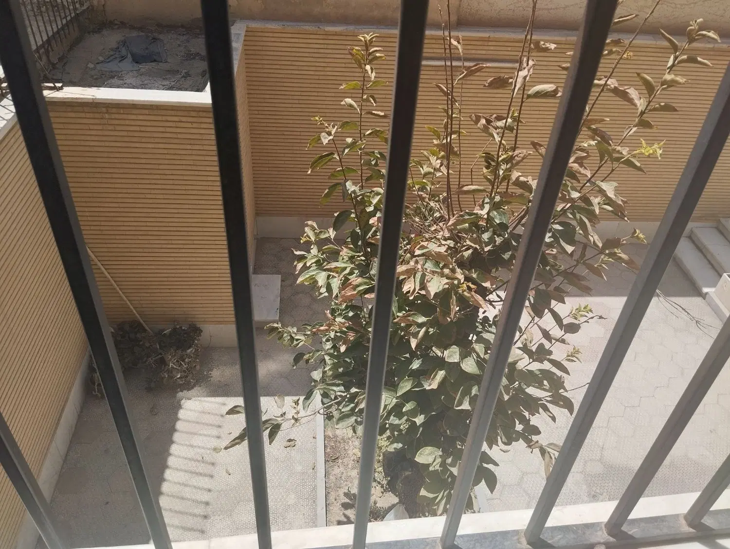 اجاره آپارتمان تمیز دوخوابه