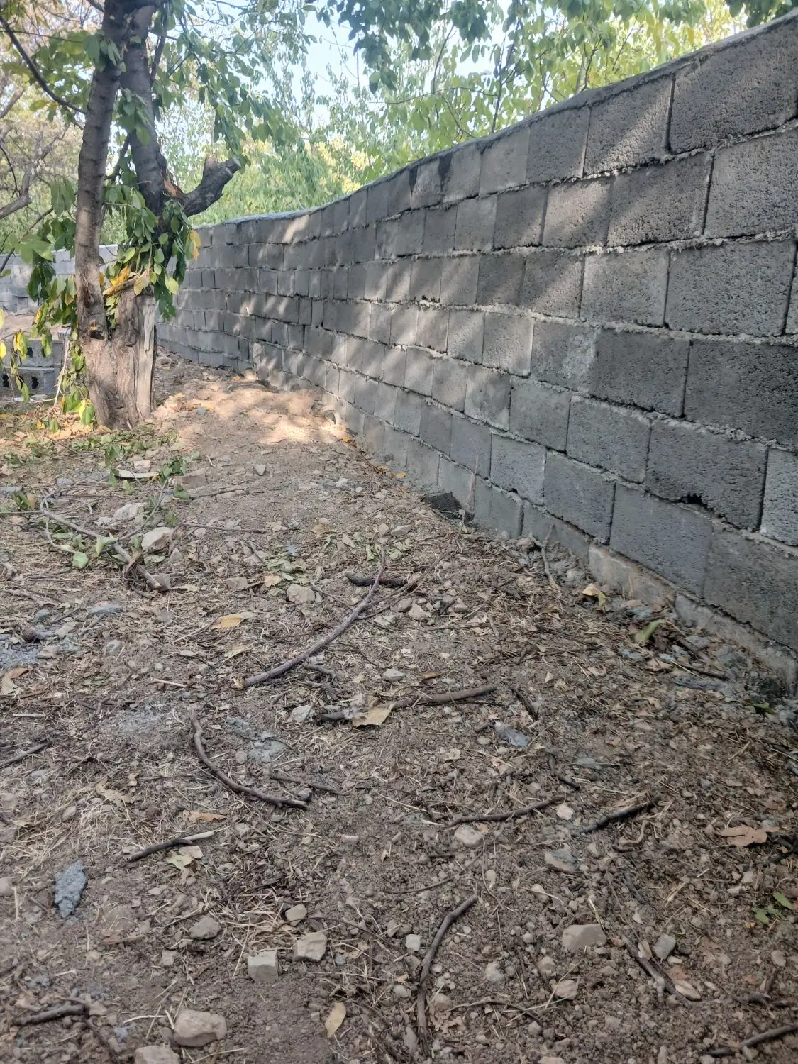 باغچه کرمجگان قم