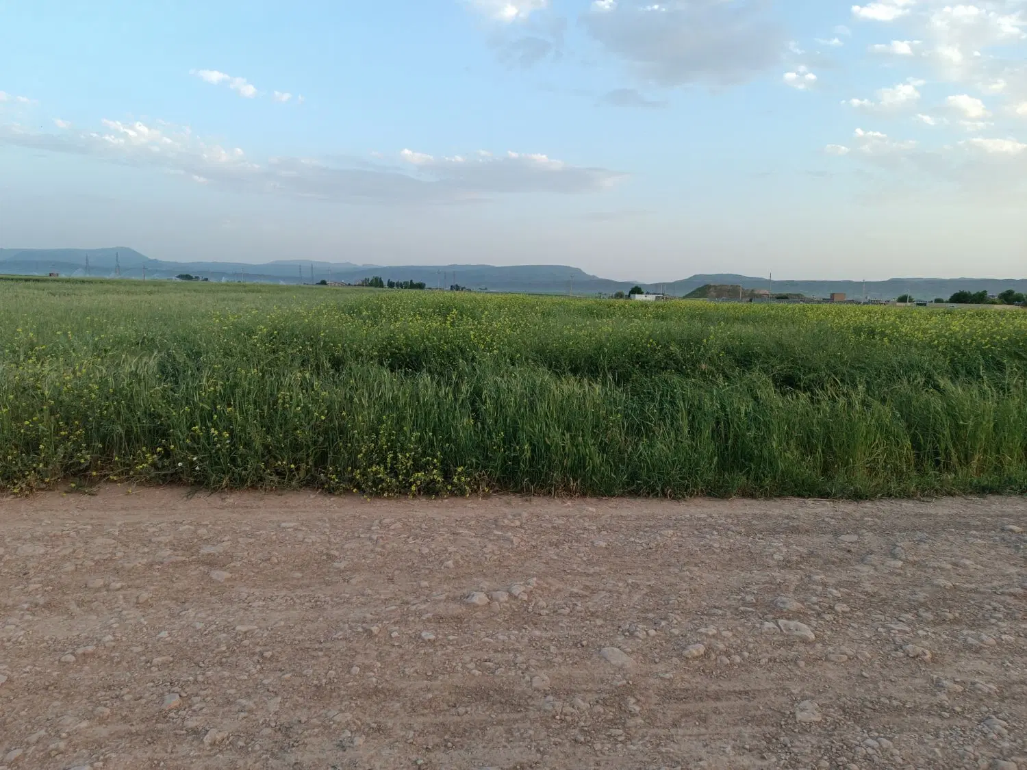 زمین تجاری مسکونی هفت تیر