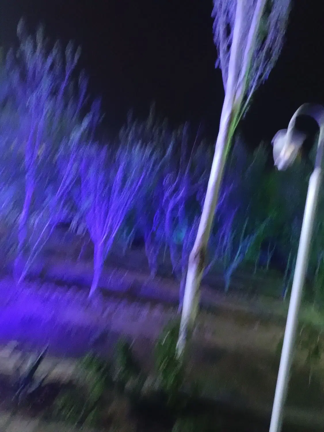 فروش باغ با۱۲۰ساخت کامل
