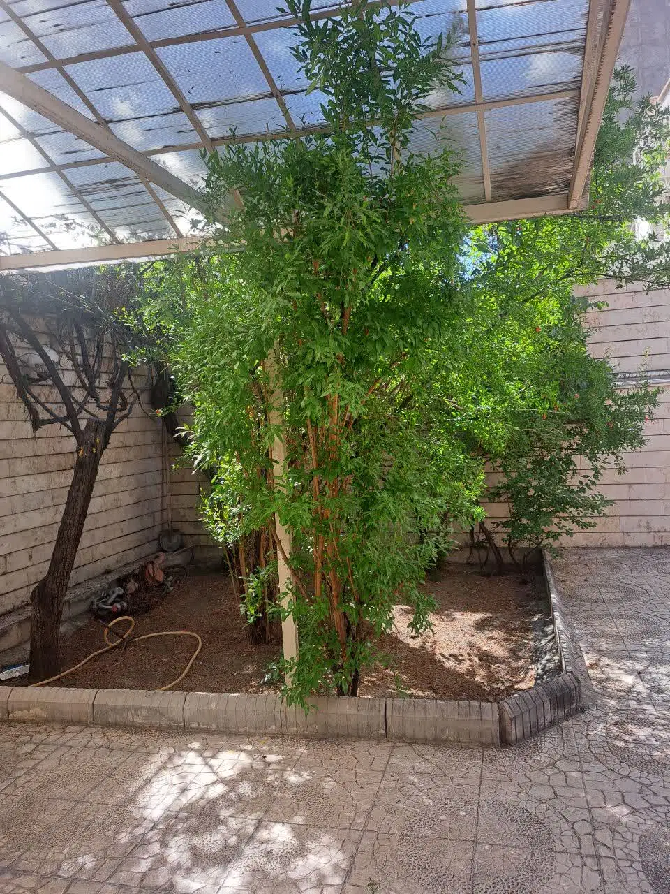 اجازه خانه ویلایی