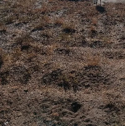 زمین مناسب برا ساخت خانه