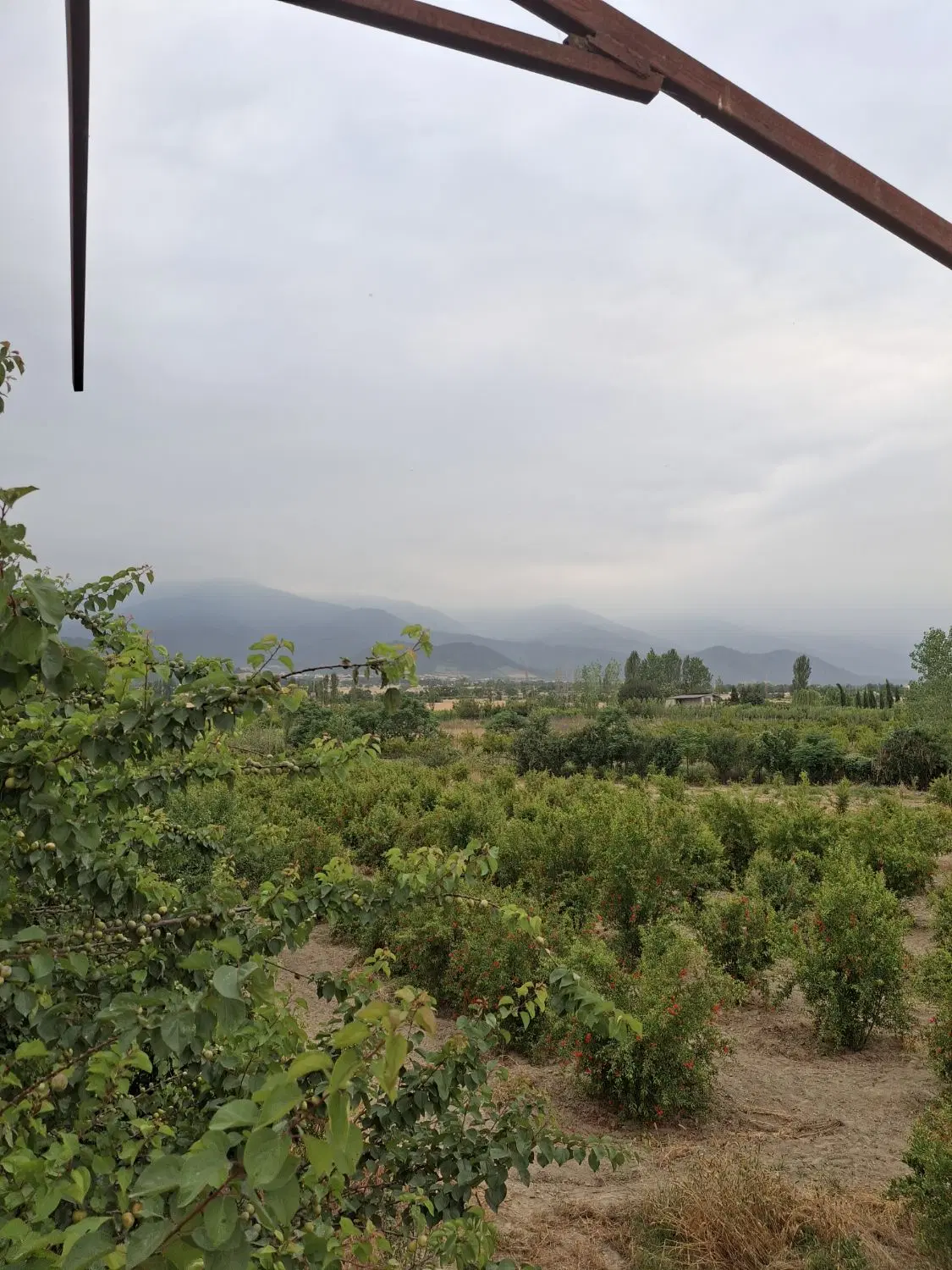 فروش زمین صنعتی