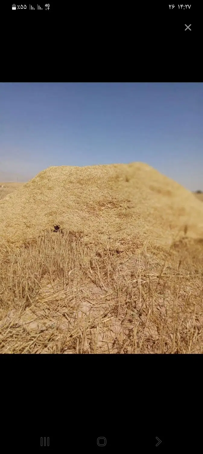 اجاره زمین کشاورزی