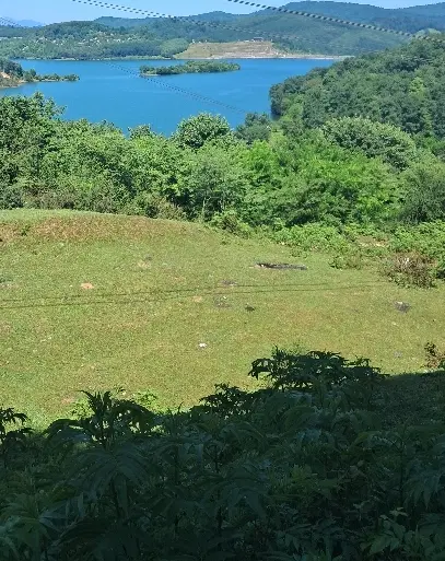اجاره ۳۰۰متر زمین بلوک ۲۳۲