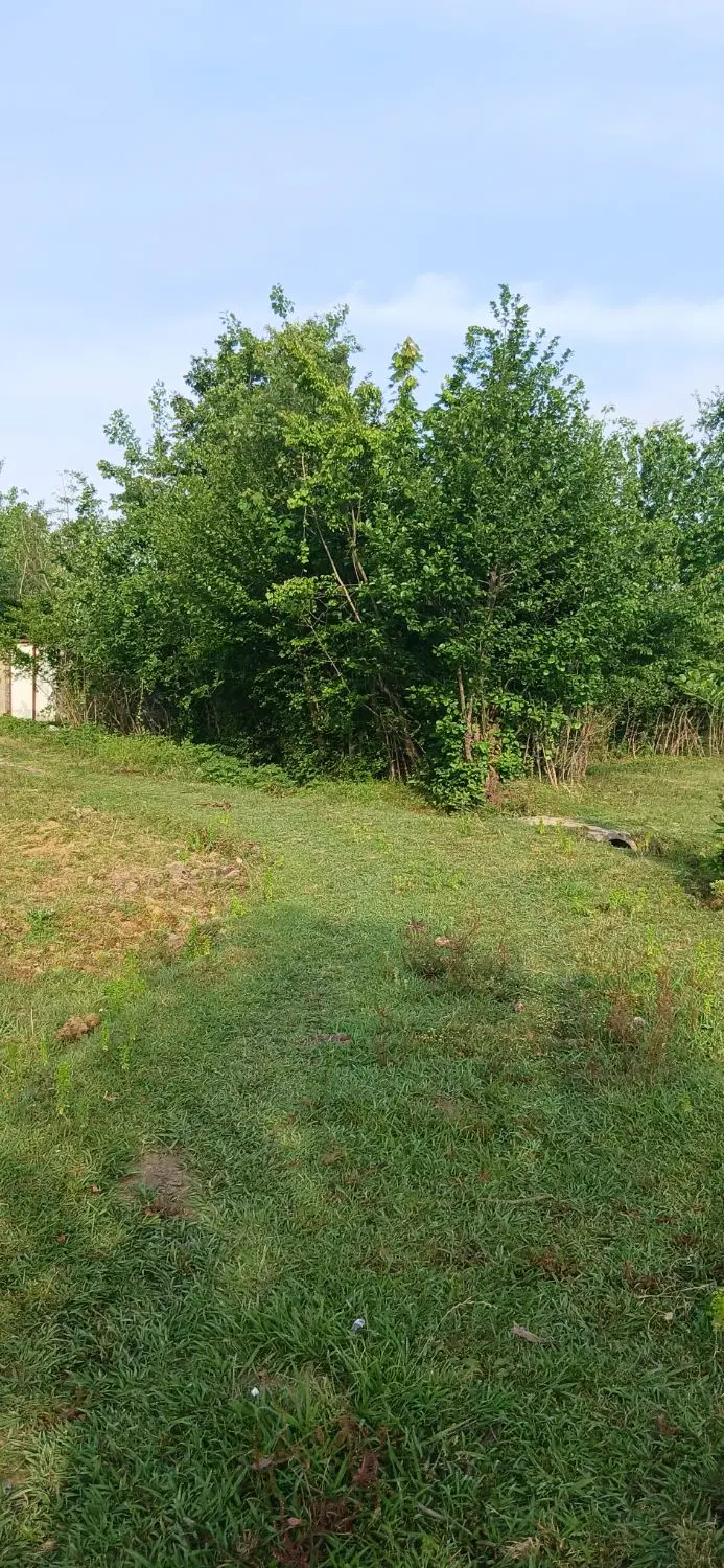 زمین با کاربری مسکونی و پروانه ساخت