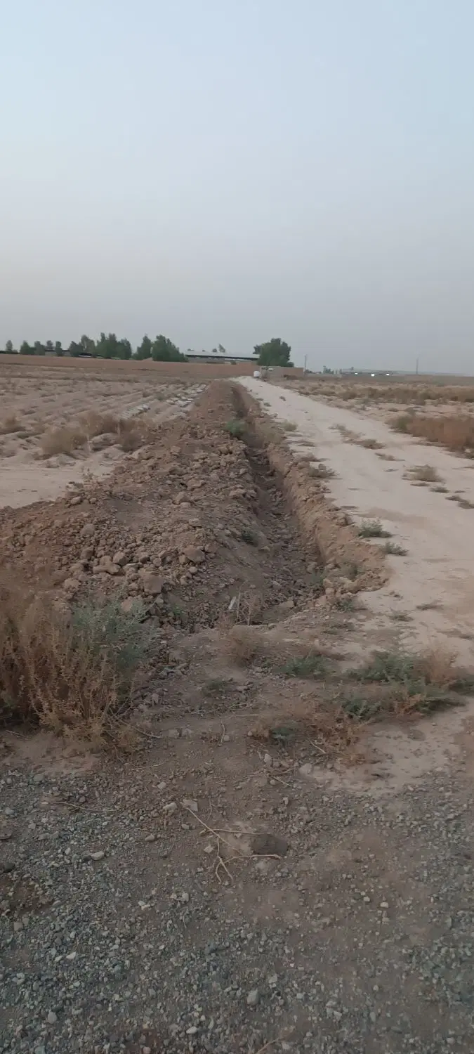 زمین 250متری
