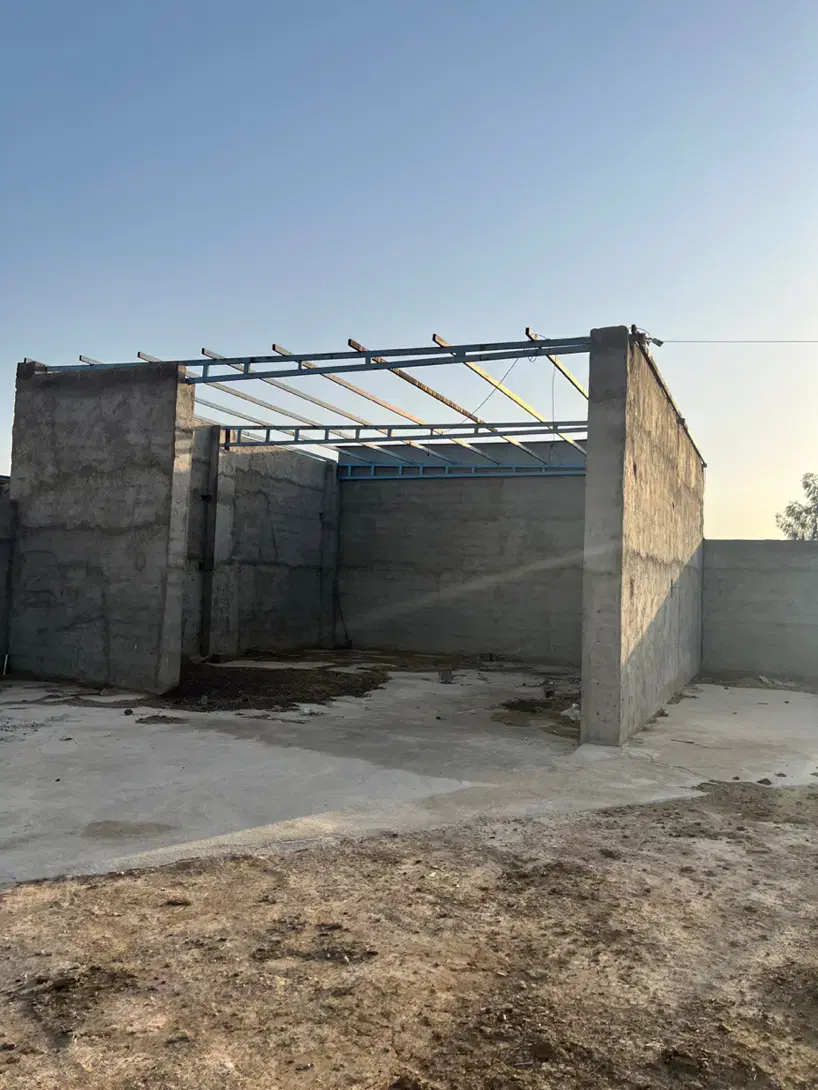 گاوداری مجتمع گاوداری