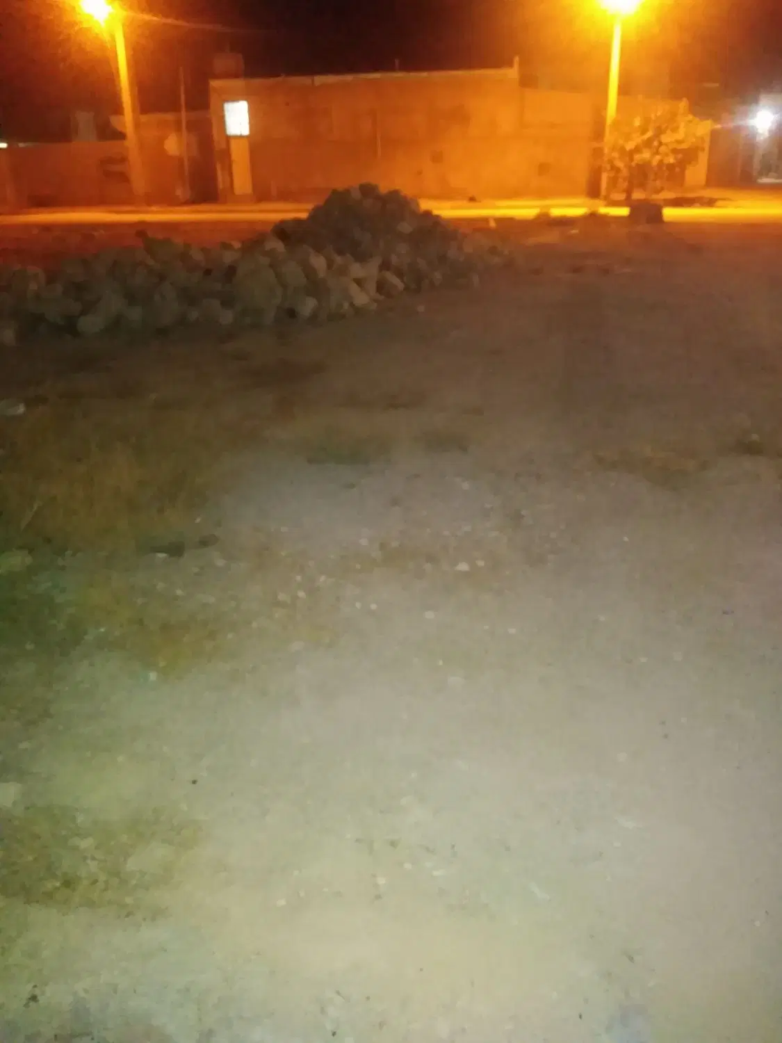 زمین 227متری تک برک بنداروز