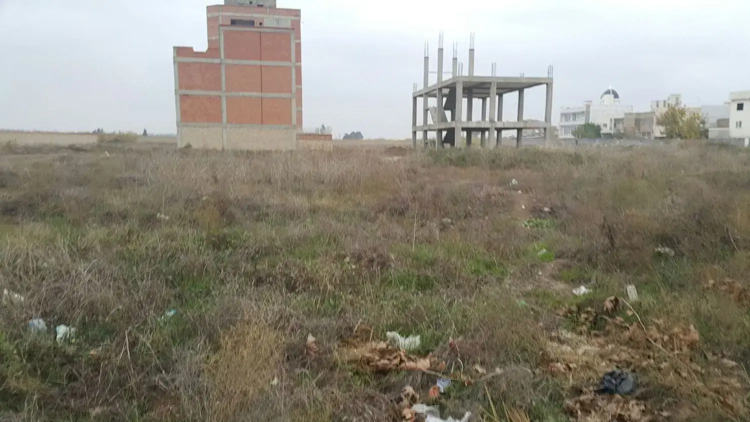 زمین مسکونی در گنبد