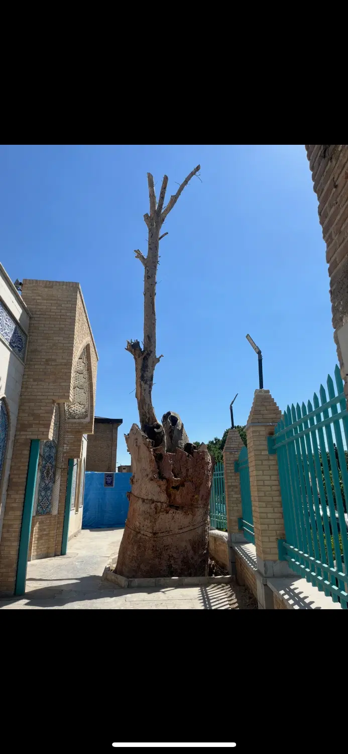 فروش ملک