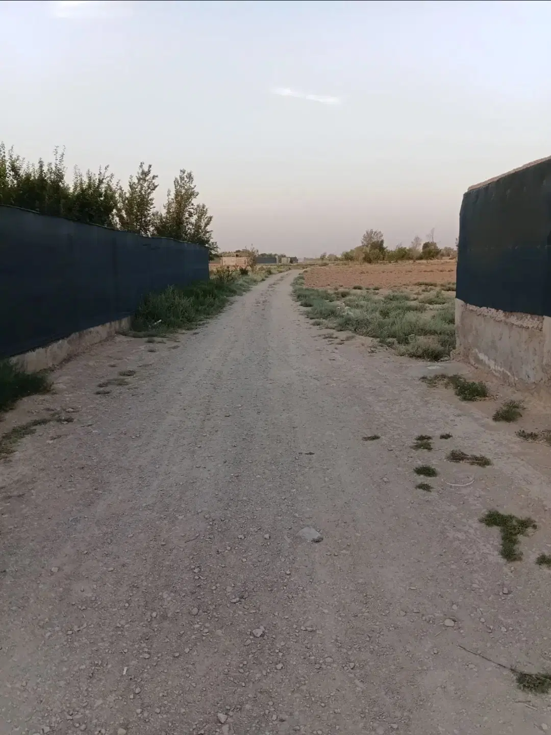فروش زمین کشاورزی خورزوق