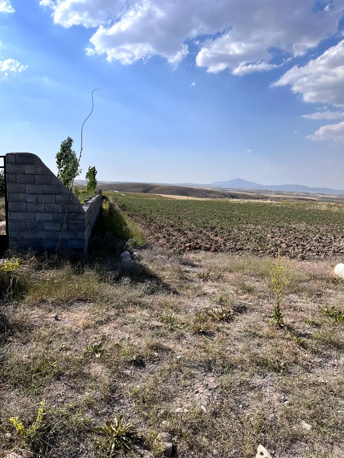 زمین ویلایی در روستای نهر