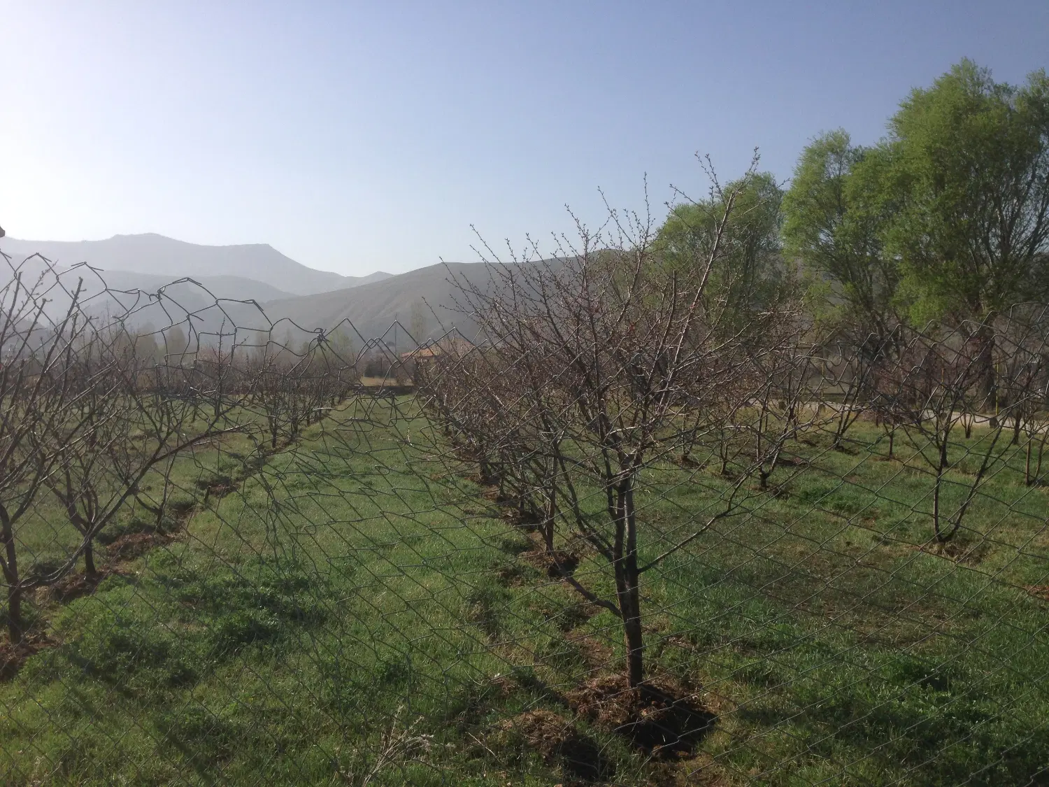 فروش زمین