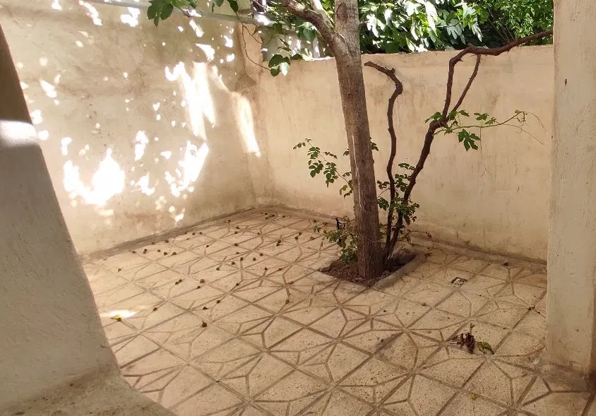 اجاره  اپارتمان