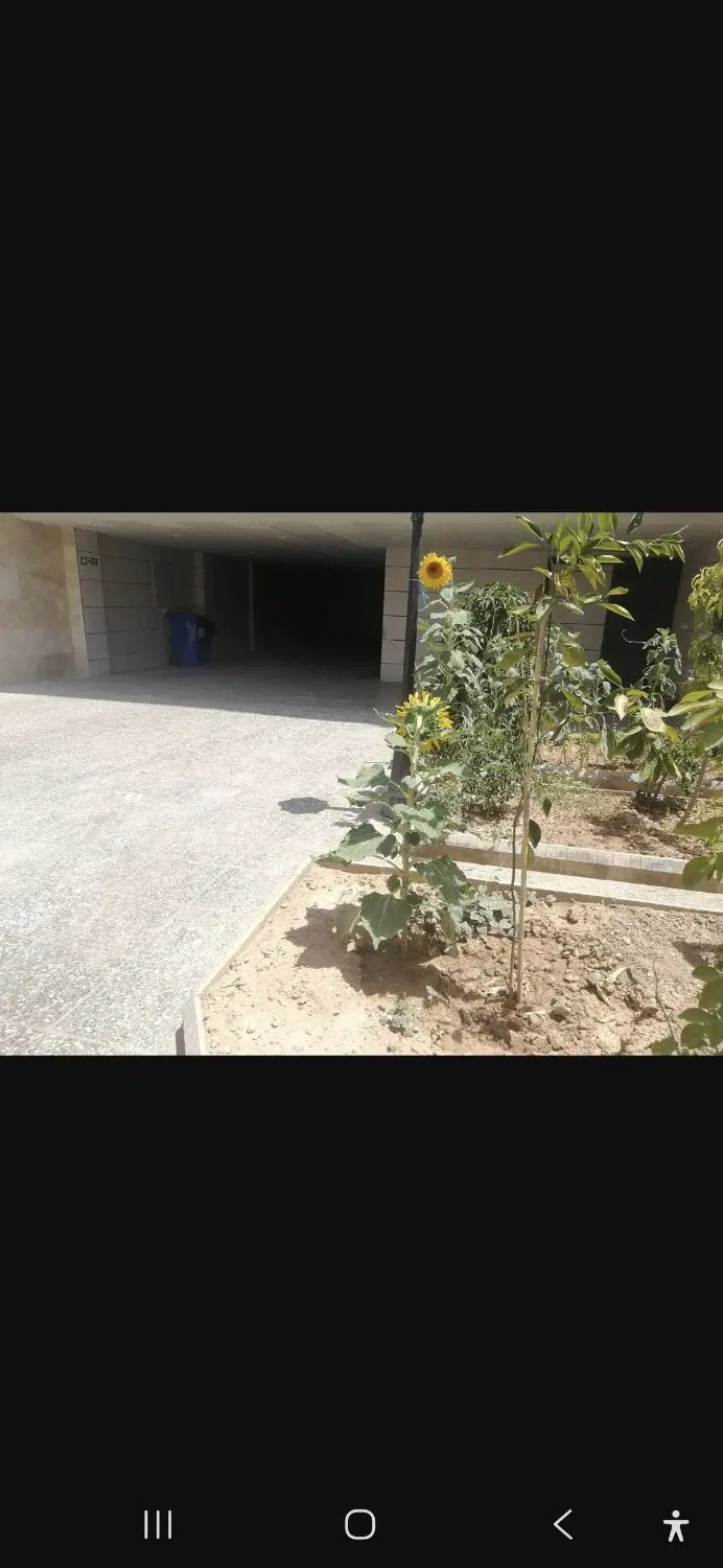 منزل طبقه اول رهن و اجاره خیابان لاله