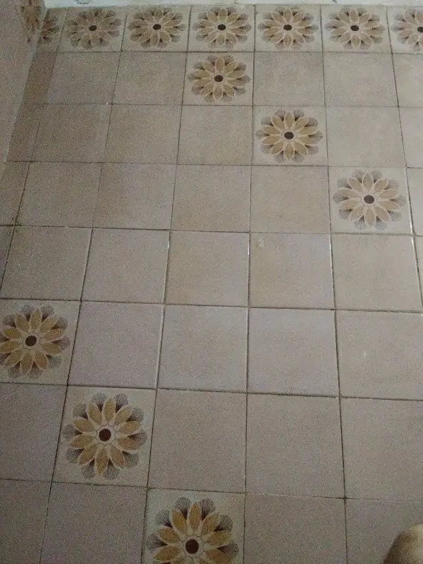 اتاق