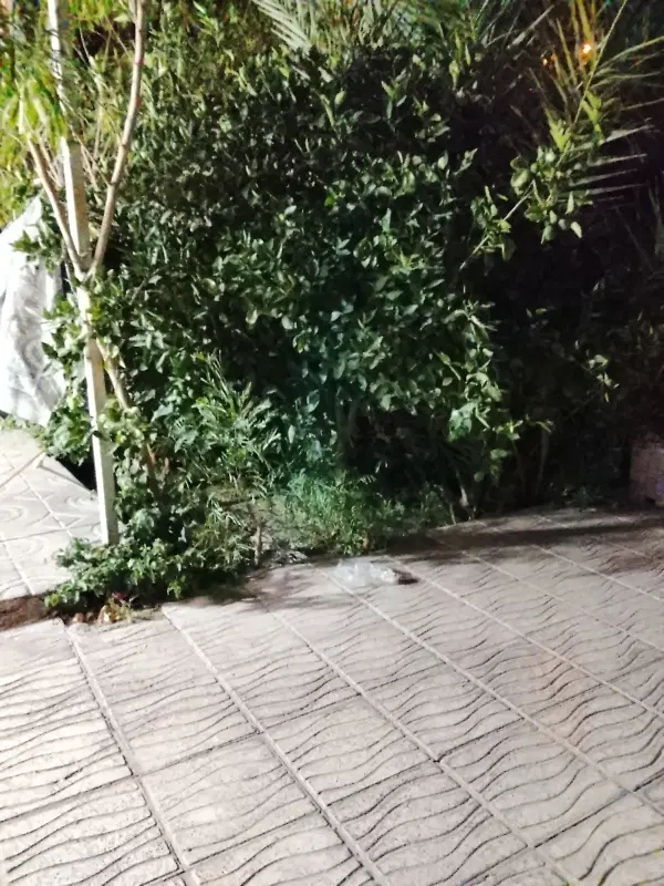 زمین هراران و امیرآباد 250متر