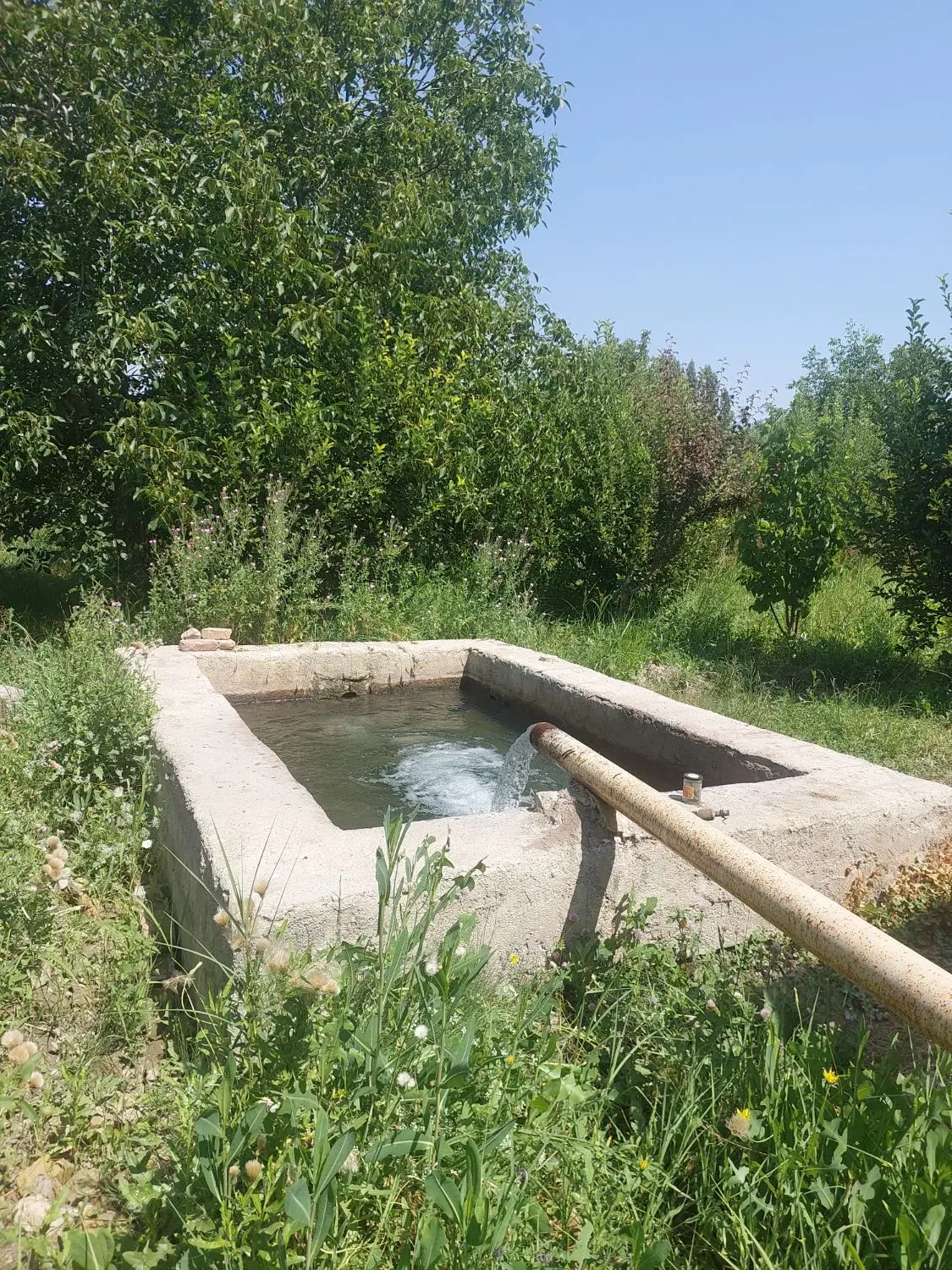 فروش باغچه